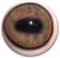 Red Deer Eyes 30/34MM
