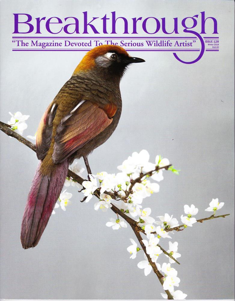 Breakthrough Magazine 128