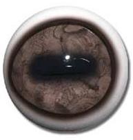 CARIBOU/REINDEER EYES white/banding 28/32mm