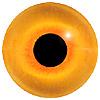 glass bird eyes 12MM