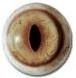 Lynx Eyes 20/24MM