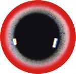 Double Yellow Headed Amazon Eyes 9MM