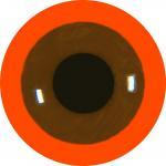 Red Bellied Parrot Eyes 8MM