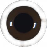 Squirrel Eyes 10MM