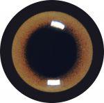 Hare Eyes 18MM