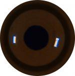 Gorilla Eyes 25MM