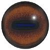 Red Deer Eyes 32MM