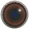 Rhino Eyes 24MM