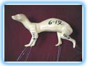 Pine Marten Form FPM1