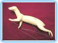 Pine Marten Form FPM2