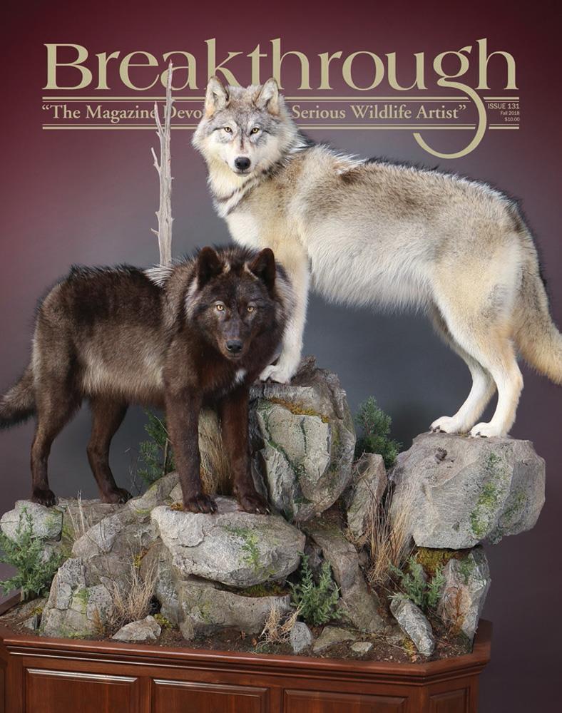 breakthrough magazine 131