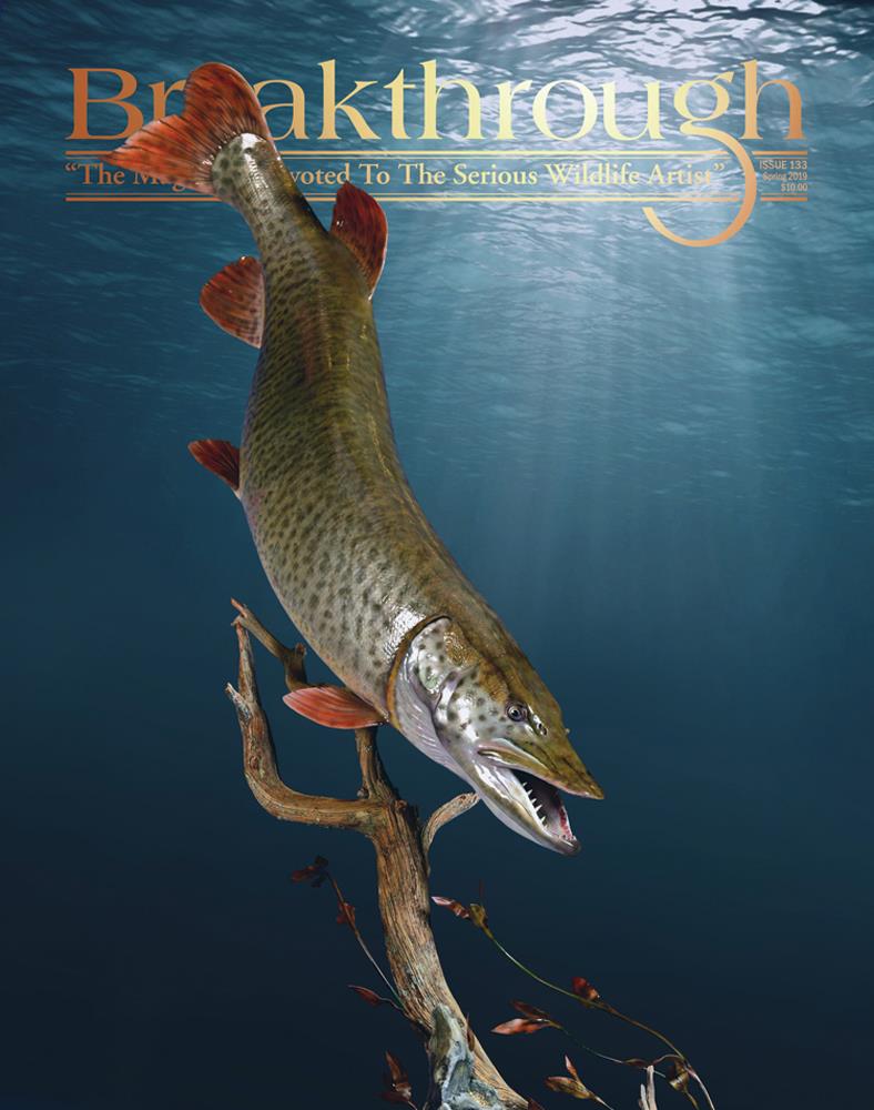 Breaktrough magazine 133