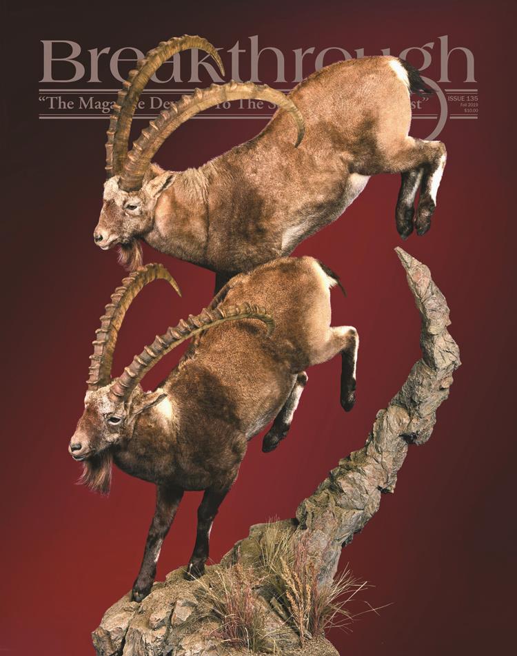 breakthrough magazine 135