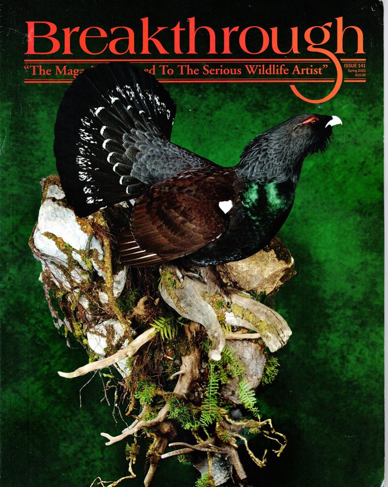 breakthrough magazine 141
