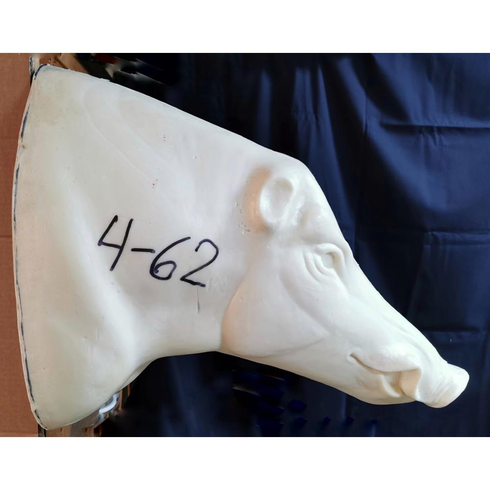Wild Boar Shoulder Mount WB4-62