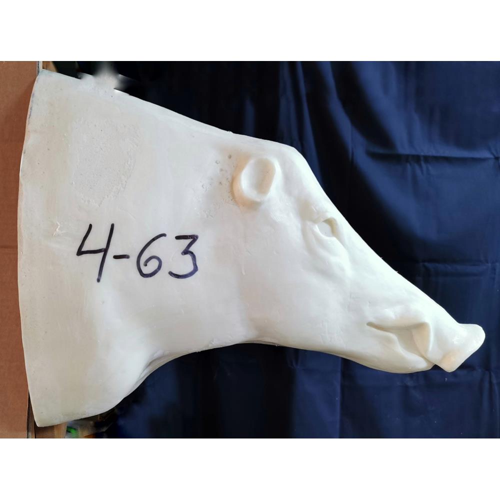 WB 4-63 wild boar shoulder mount