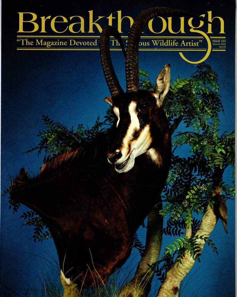 breakthrough magazine 142