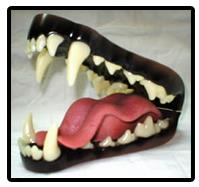 Wolf Jaw And Tongue Set