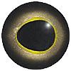 Glass Bass Eyes