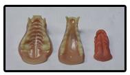 Fisher Jaw And Tongue Set