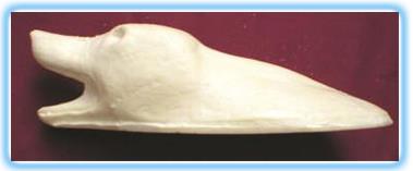 Fox Rug Shell