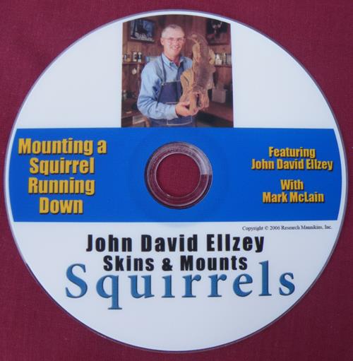 Mounting A Squirrel Running Down