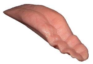 Fox Tongue (Super Snarling)
