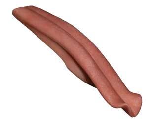 Mohr Coyote Tongue (Relaxed)