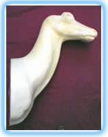 Red Deer/Stag Shoulder Mount RS 1