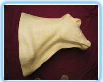 Bull Shoulder Mount BU1