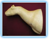 Sheep Shoulder Mount SHP 2