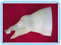 Wild Boar Shoulder Mount WB 2