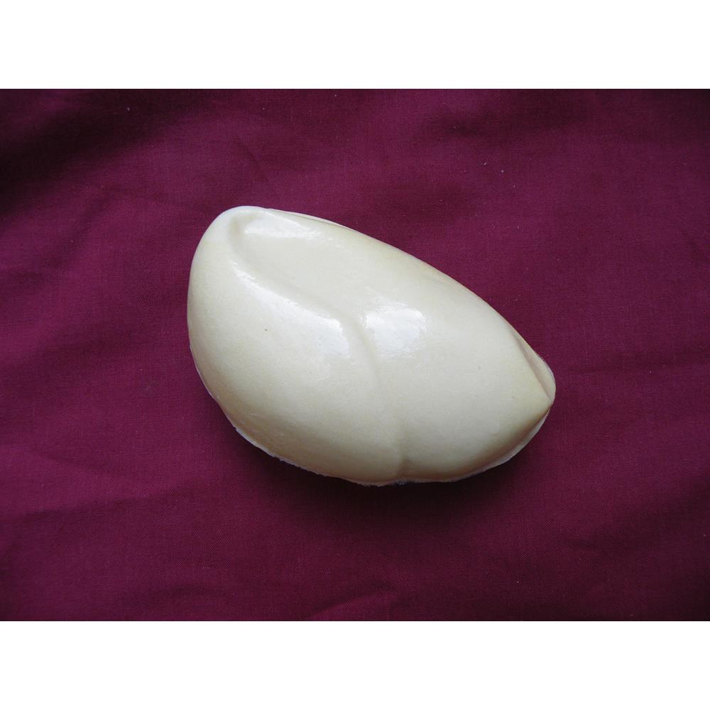 Woodpigeon Body Form