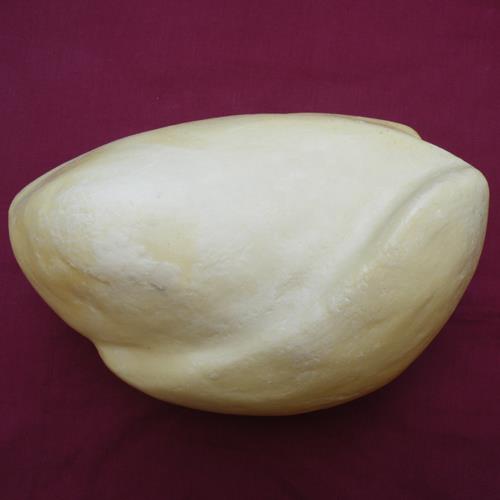 Male Capercaille Body Form