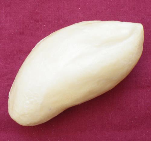 Green Woodpecker Body