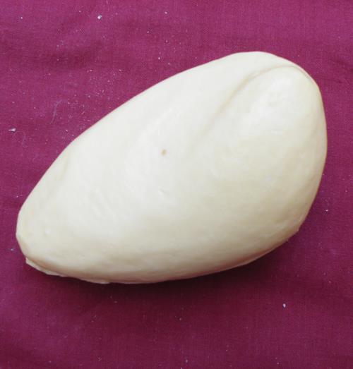 Lapwing Body Form