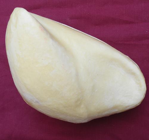 Female European Eagle Owl Body Form