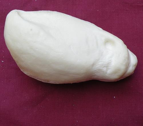 Female Sparrowhawk Body Form
