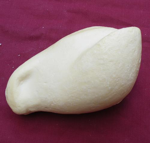Male Goshawk Body Form