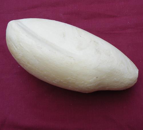 Mallard Body Form