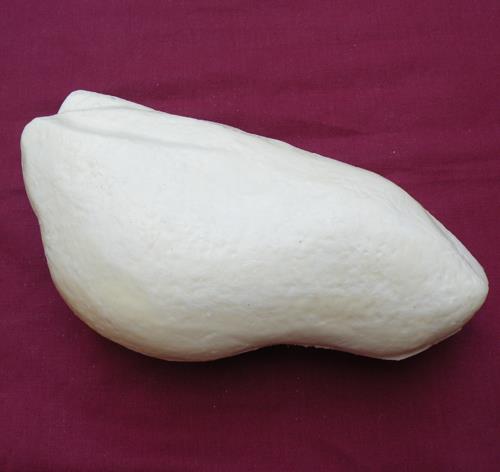 Grey Heron Body Form