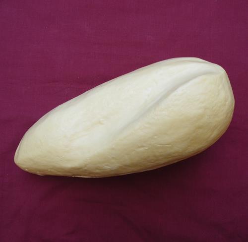 Gannet Body Form