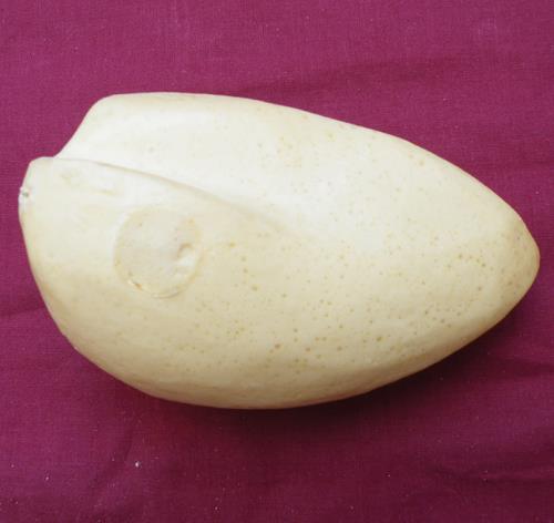 Oyster Catcher Body Form