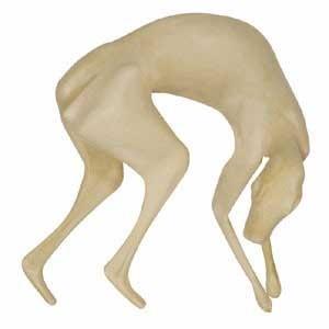 Brown/White Hare Form RMH2