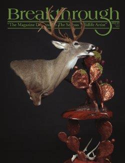Breakthrough Magazine 107