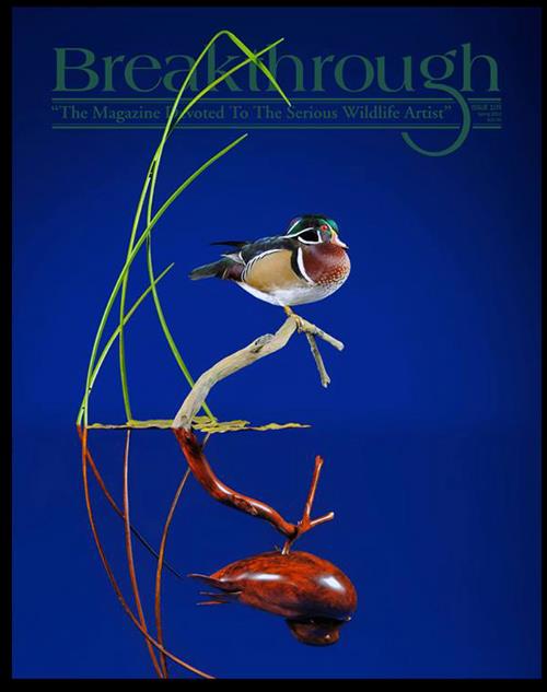 Breakthrough Magazine 110