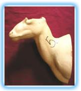 Mouflon S/Mount MF2