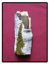Artificial Log No 1