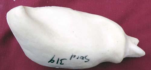 Peregrine Falcon Body (Male)