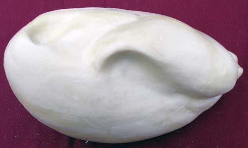 Pheasant Body (Flying Position) Medium